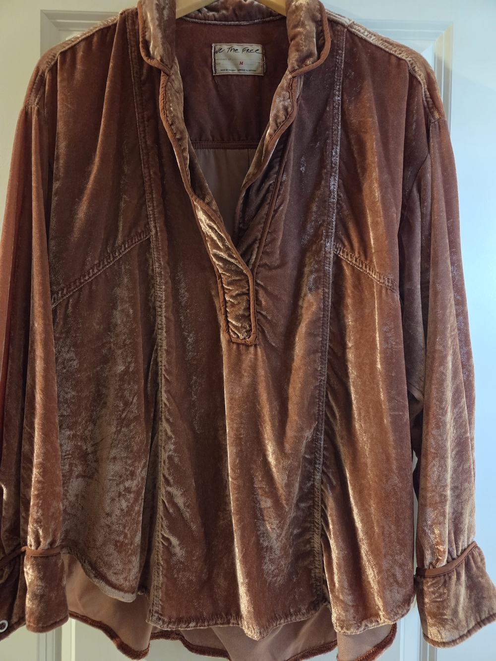 We The Free Teddy Blouse in Blush Velvet